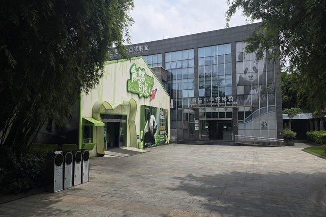 청두 자이언트 판다 번식 연구 기지 반일 단독 투어