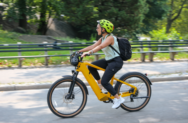 뉴욕 전기 자전거 eBike 대여