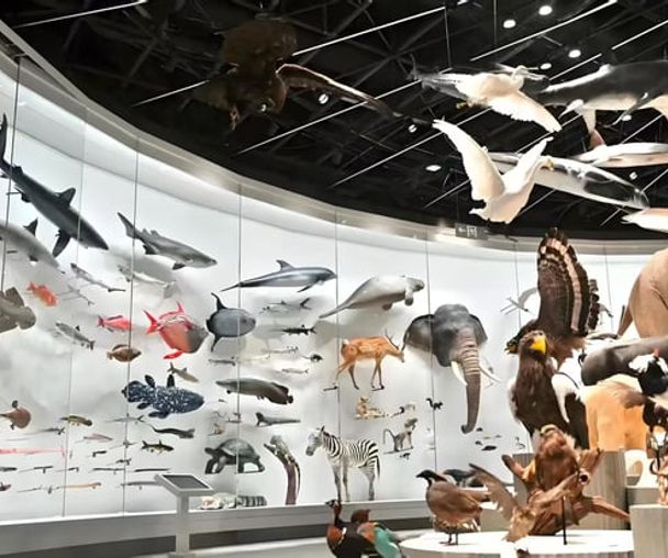 review_image