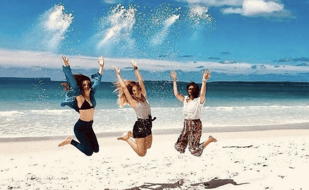 Jervis Bay Day Tour from Sydney - Dolphin Cruise, Hyams Beach & Wild Kangaroos