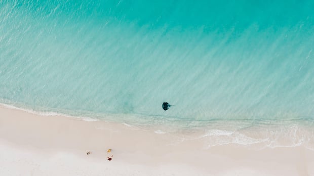 Jervis Bay Tour from Sydney: Beaches, Koalas & Kangaroos