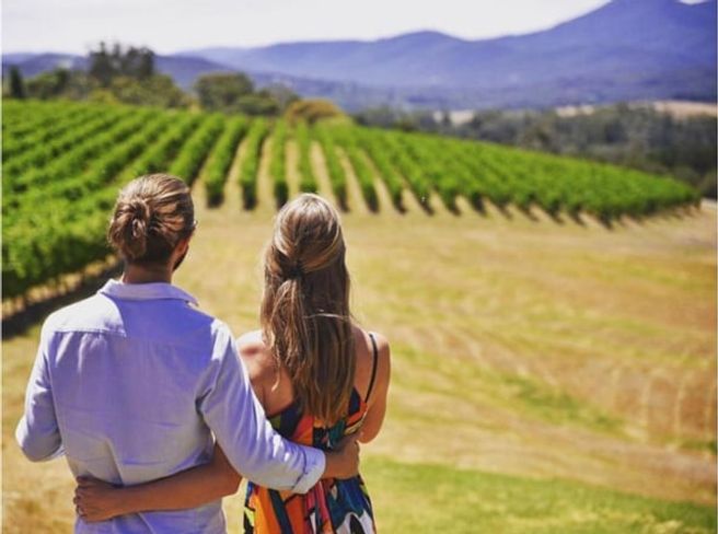 Yarra Valley Wine & Gourmet Tour from Melbourne (Chandon Sparkling, Cheese & Kangaroo Safari)
