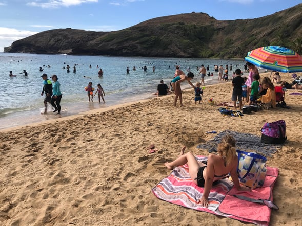 [Exclusive Discount] Hanauma Bay Oahu Entrance Ticket & Round-trip Waikiki Shuttle Service