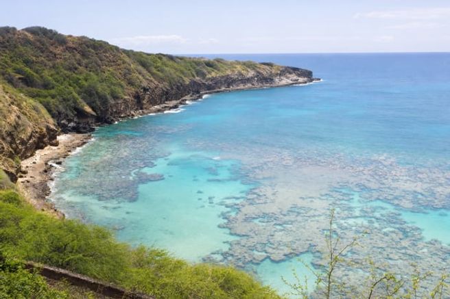 Hanauma Bay Snorkeling Tour in Oahu, Hawaii - Includes Equipment & Round-trip Shuttle from Waikiki