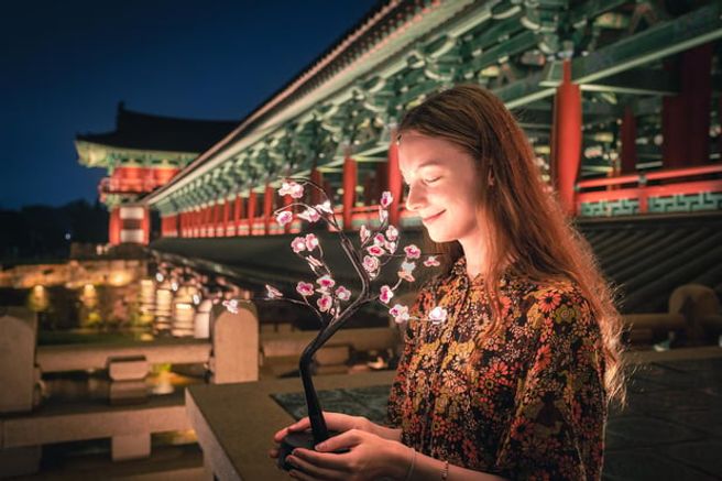 Gyeongju UNESCO Day Tour from Busan - Bulguksa Temple, Daereungwon Tomb Complex & Donggung Palace and Wolji Pond