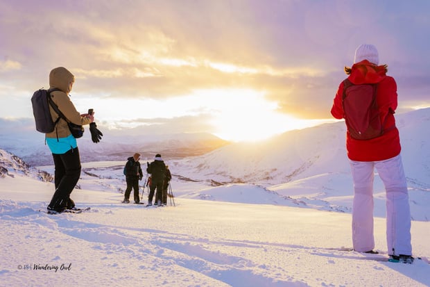 Tromsø Snowshoe Hiking Tour (Includes Picnic Lunch & Photos)