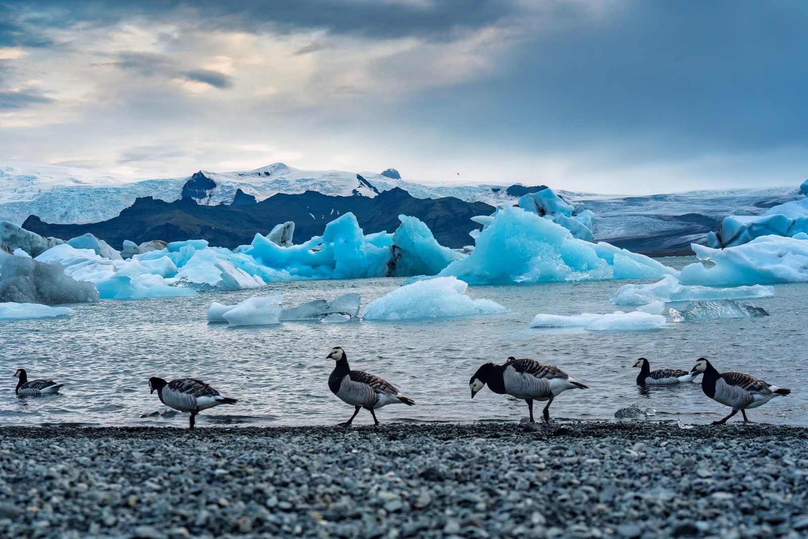 Jokulsarlon Glacier Lagoon & Diamond Beach Day Tour from Reykjavik - Chinese Guided