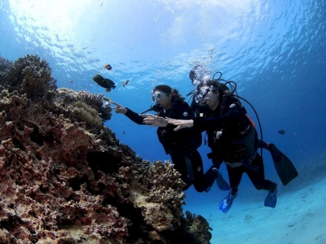 Okinawa Blue Cave Tour (Korean-run shop, Korean/English/Japanese available)