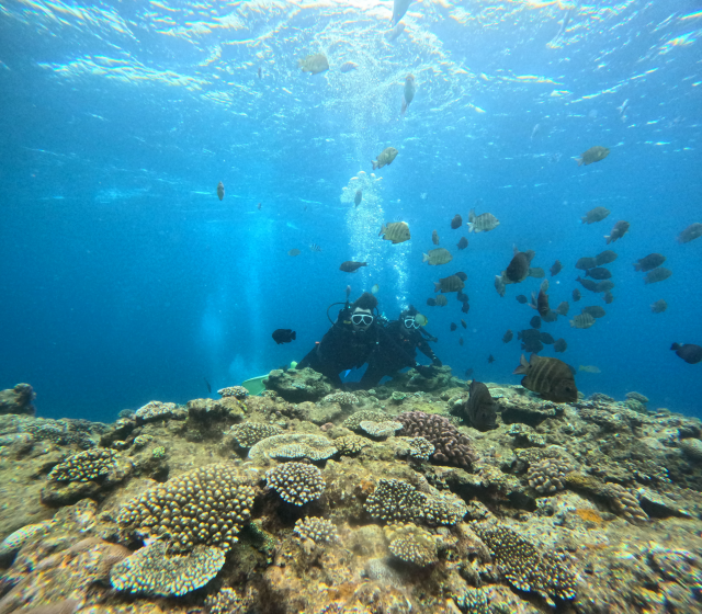 Okinawa Blue Cave Tour (Korean-run shop, Korean/English/Japanese available)