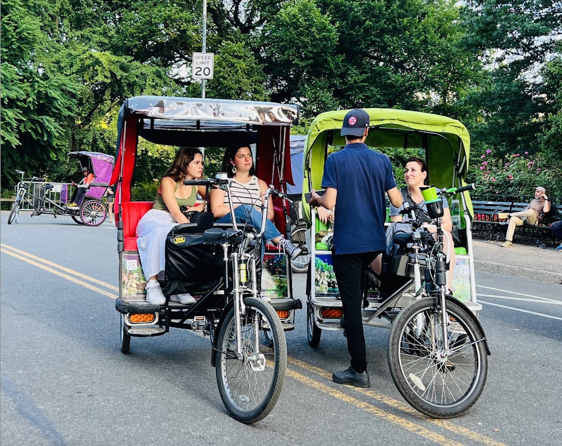 New York Central Park Pedicab Private Tour with Photo Stops