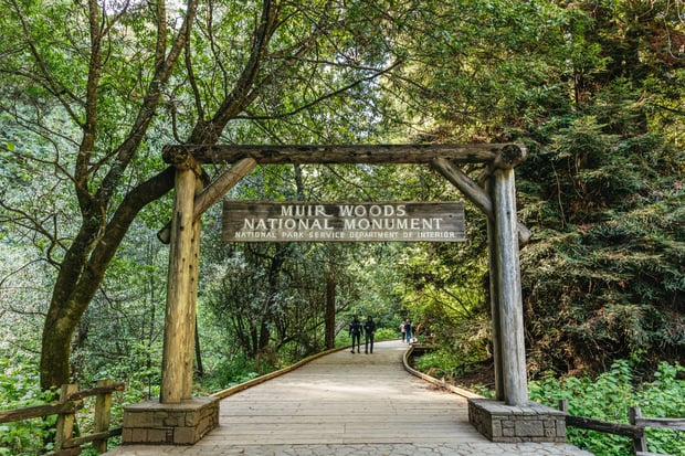 Muir Woods Guided Tour from San Francisco (Admission & Round-Trip Bus, via Sausalito)