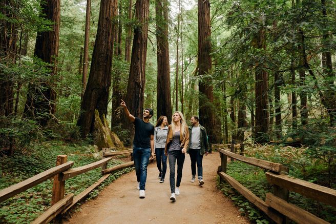 San Francisco Alcatraz + Muir Woods & Sausalito Small-Group City Tour