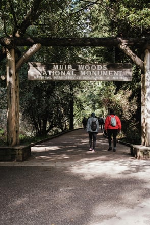 San Francisco: Muir Woods, Sausalito & Marin Headlands Small-Group Tour with Hotel Pickup