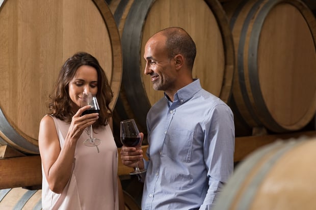 From San Francisco: Napa & Sonoma Valley Full-Day Wine Tour - 3 Winery Tastings