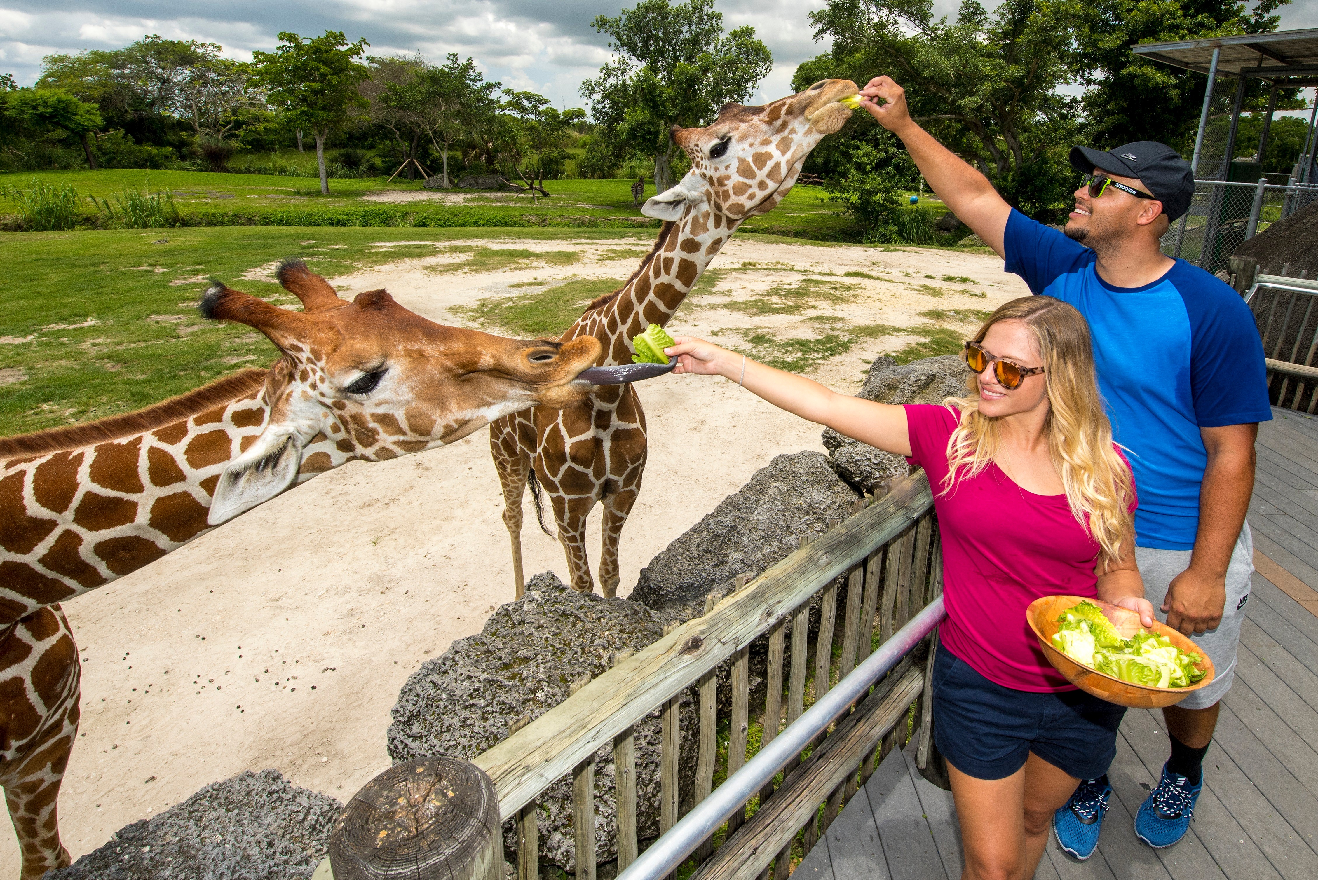 Zoo Miami Admission Ticket - General Entry with Optional Lunch Package