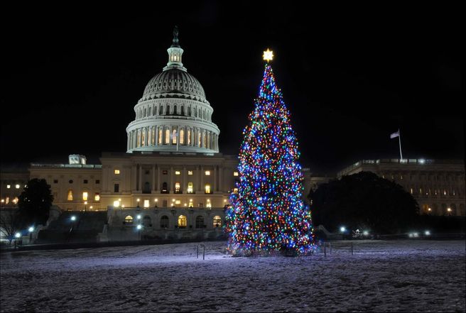 ワシントンD.C. ホリデーライト夜間バスツアー - クリスマスツリーの名所
