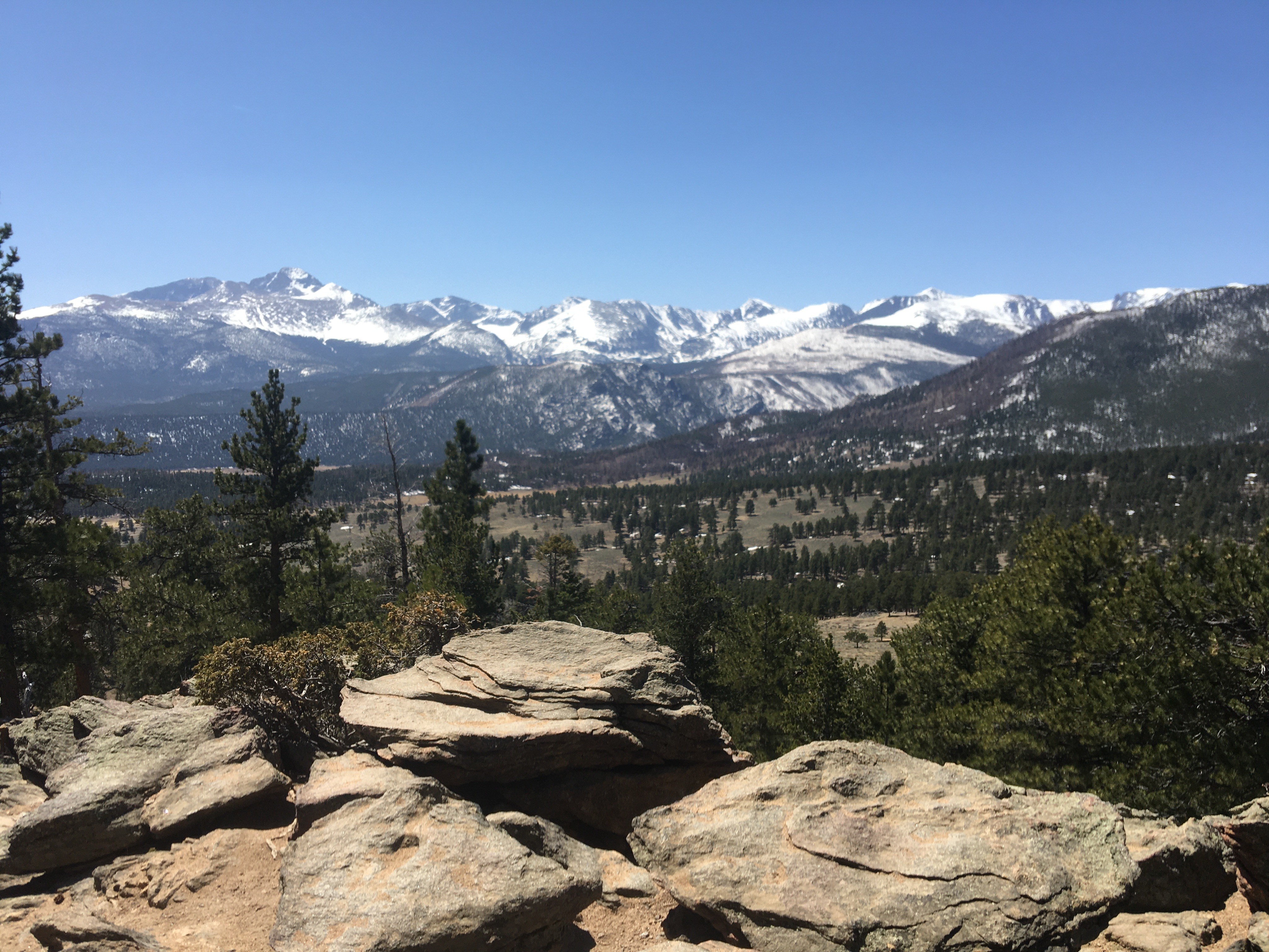 From Denver: Rocky Mountain National Park Guided Hike - Moderate Trail