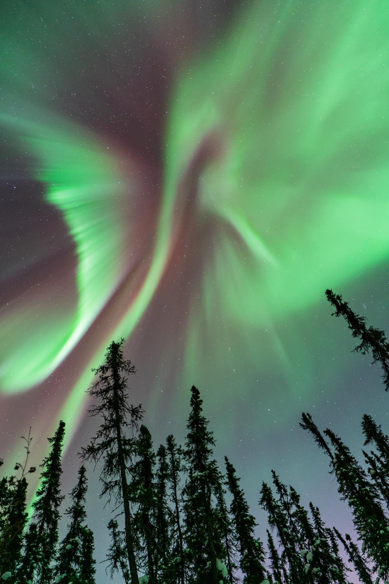 Fairbanks Aurora Tour - Small Group of Up to 8
