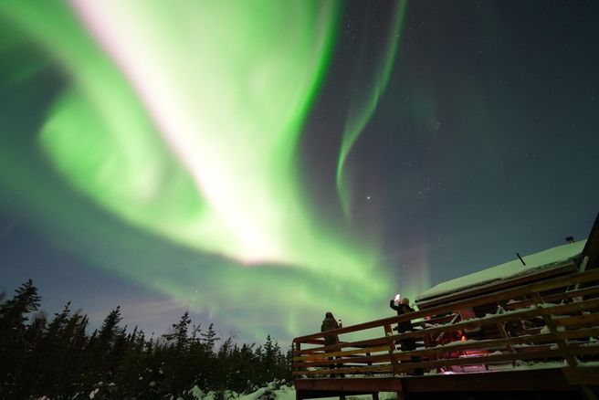 From Fairbanks: Aurora Viewing Tour - Husky Lodge Log Cabin
