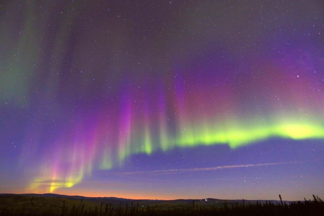 From Fairbanks: Dog Sledding & Aurora Tour - Salmon Dinner Included
