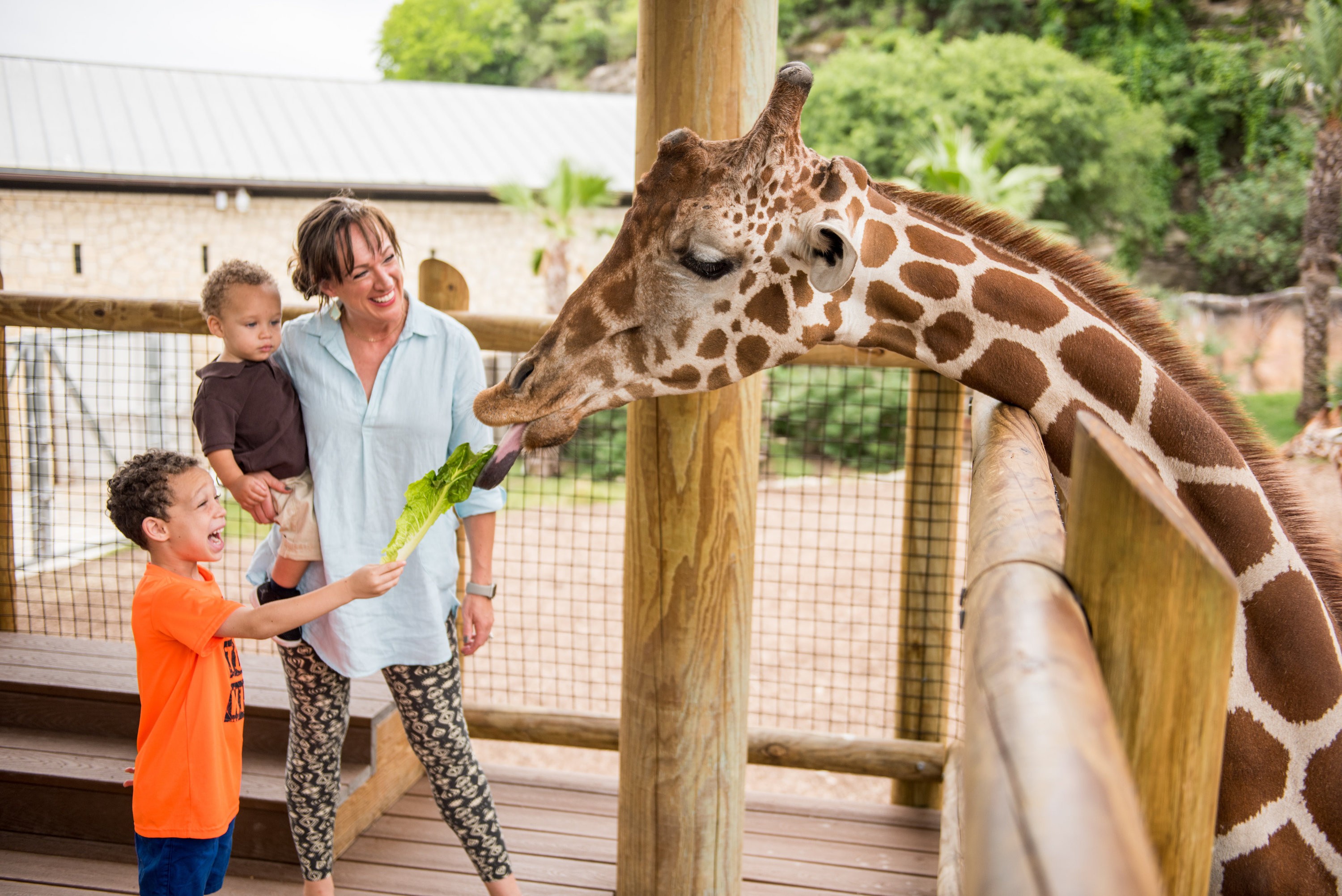 San Antonio Zoo Admission Ticket - Flexible Date