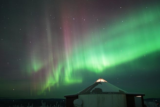 From Fairbanks: Aurora Lodge Viewing Tour - Yurt with North-Facing Windows