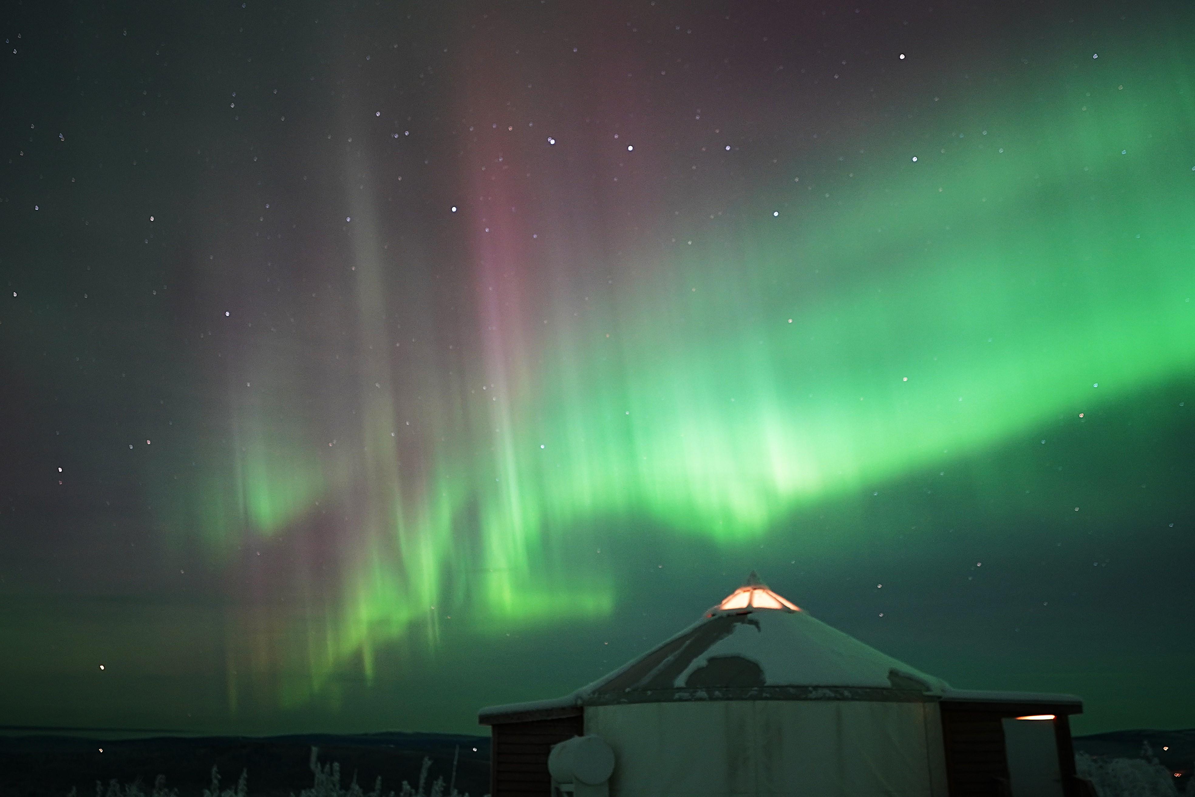 From Fairbanks: Aurora Lodge Viewing Tour - Yurt with North-Facing Windows