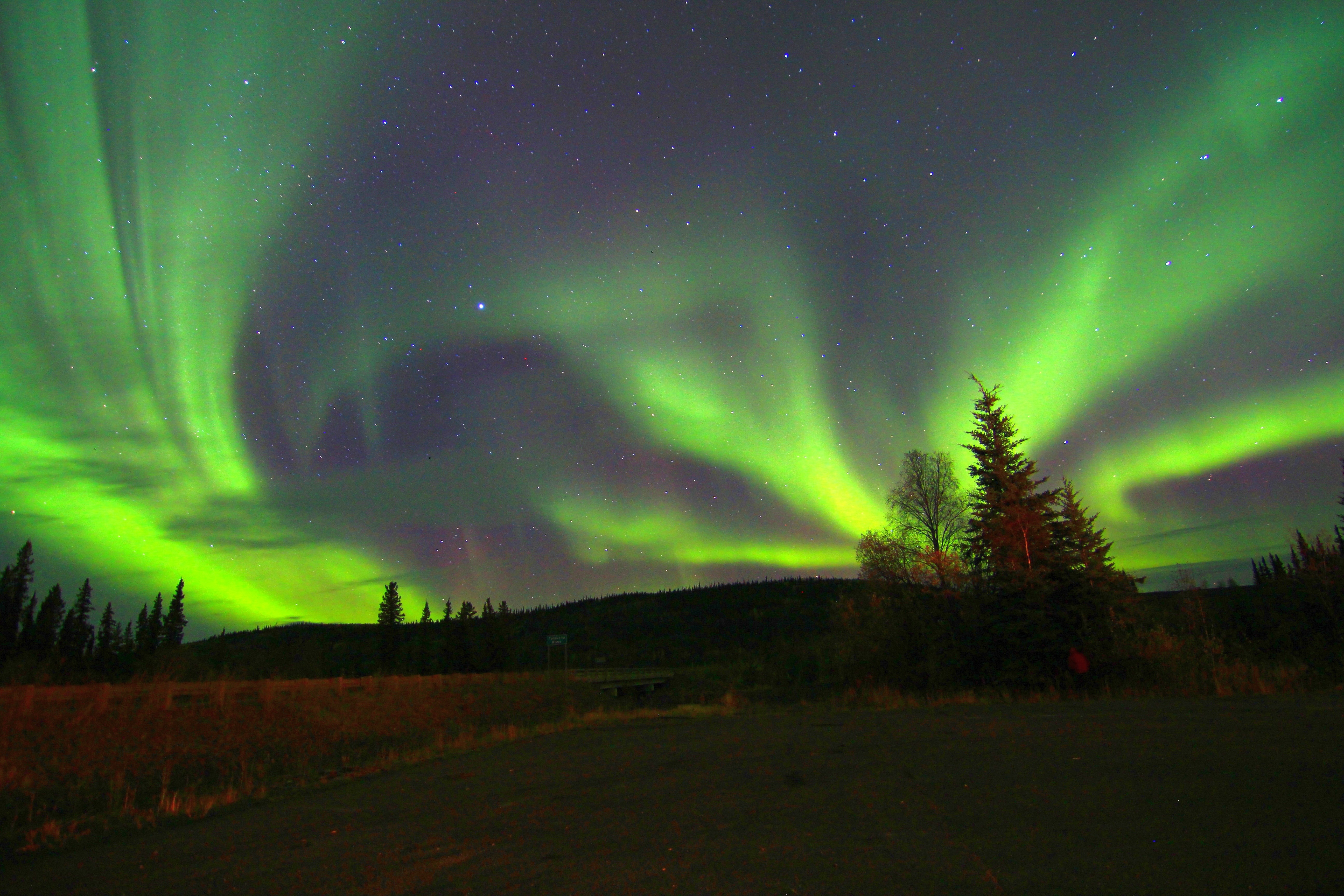 From Fairbanks: Murphy Dome Aurora Viewing Tour - Heated Van