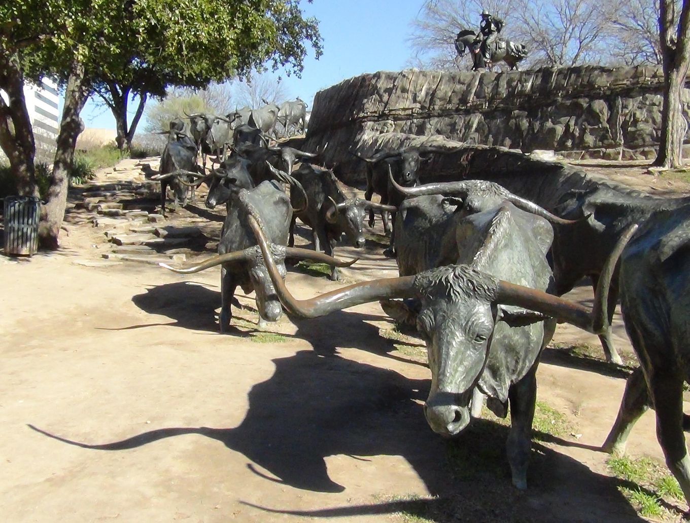 detail_image