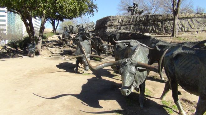 Dallas City Highlights Van Tour - 3-Hour Small Group