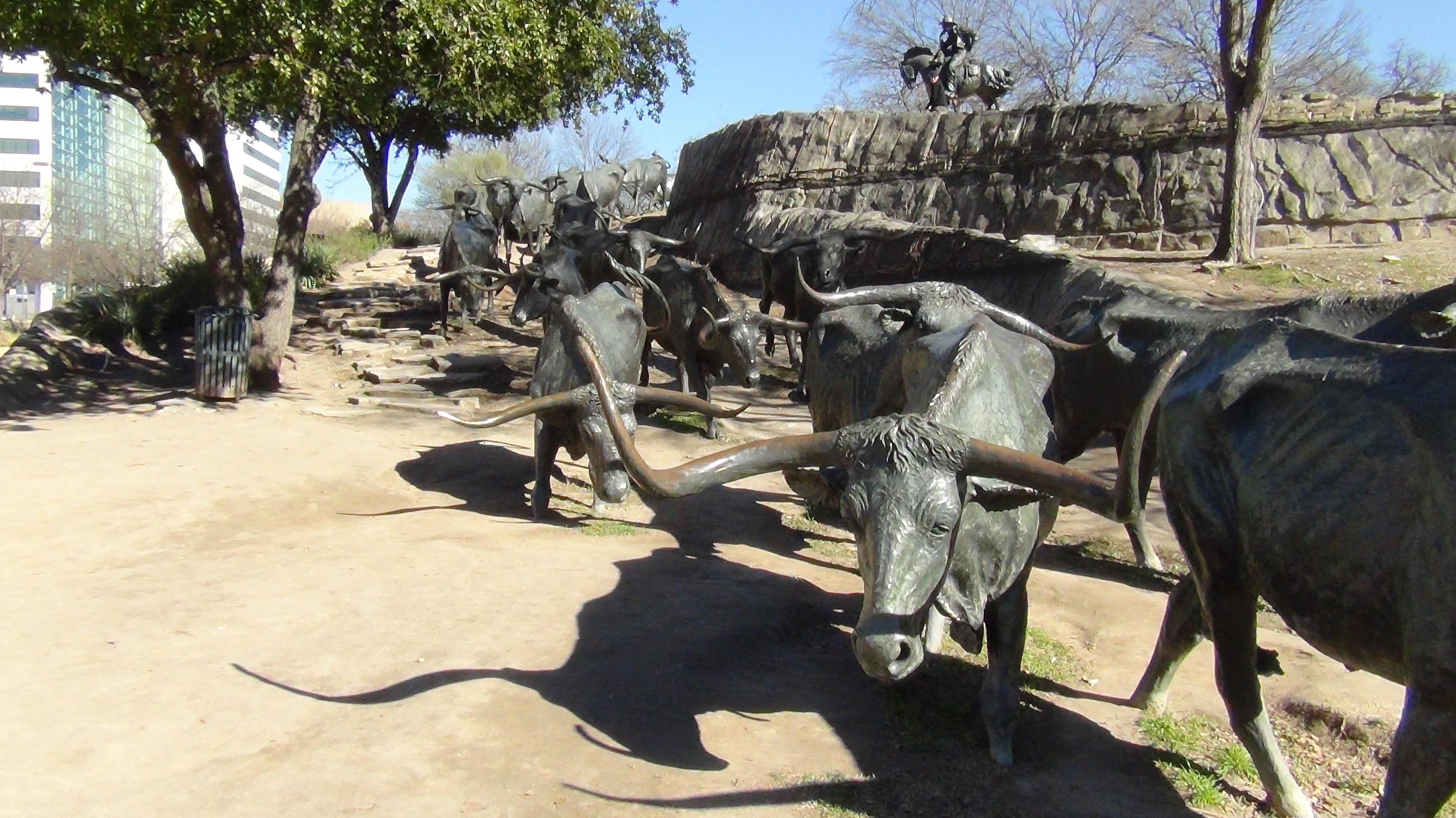 Dallas City Highlights Van Tour - 3-Hour Small Group