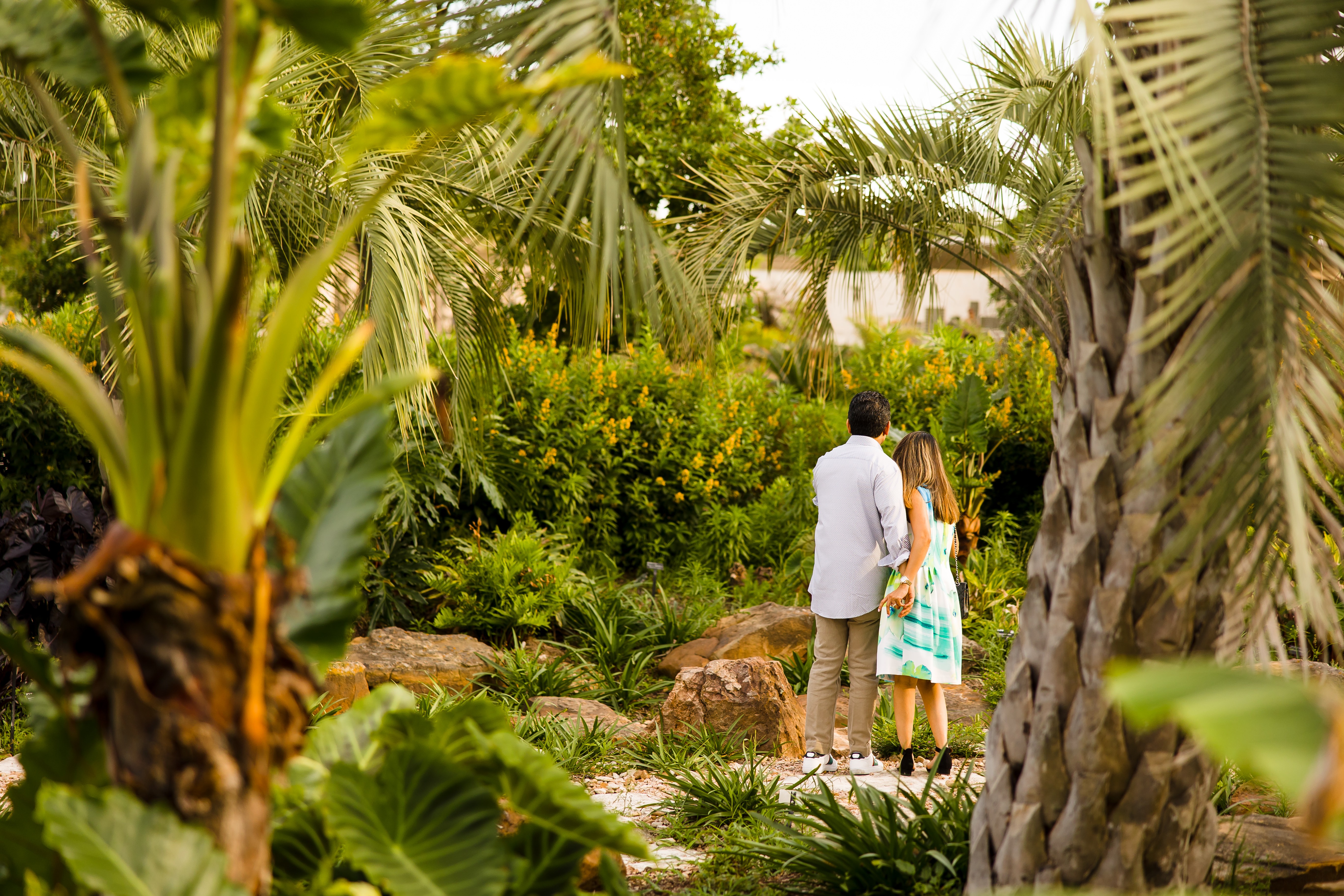 Houston Botanic Garden Admission Ticket