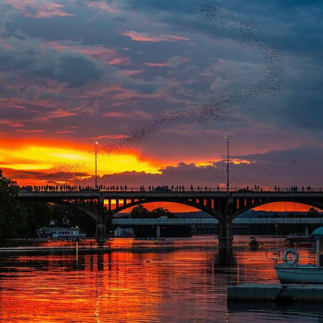 Austin Sunset Bat-Watching Kayak Tour