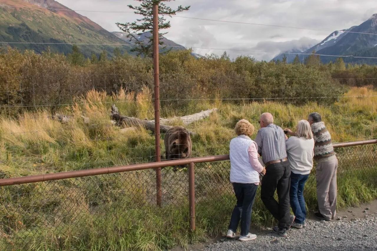 From Anchorage: Alaska Wildlife Conservation Center Tour - Hotel Pickup