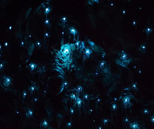 activity_detail_image