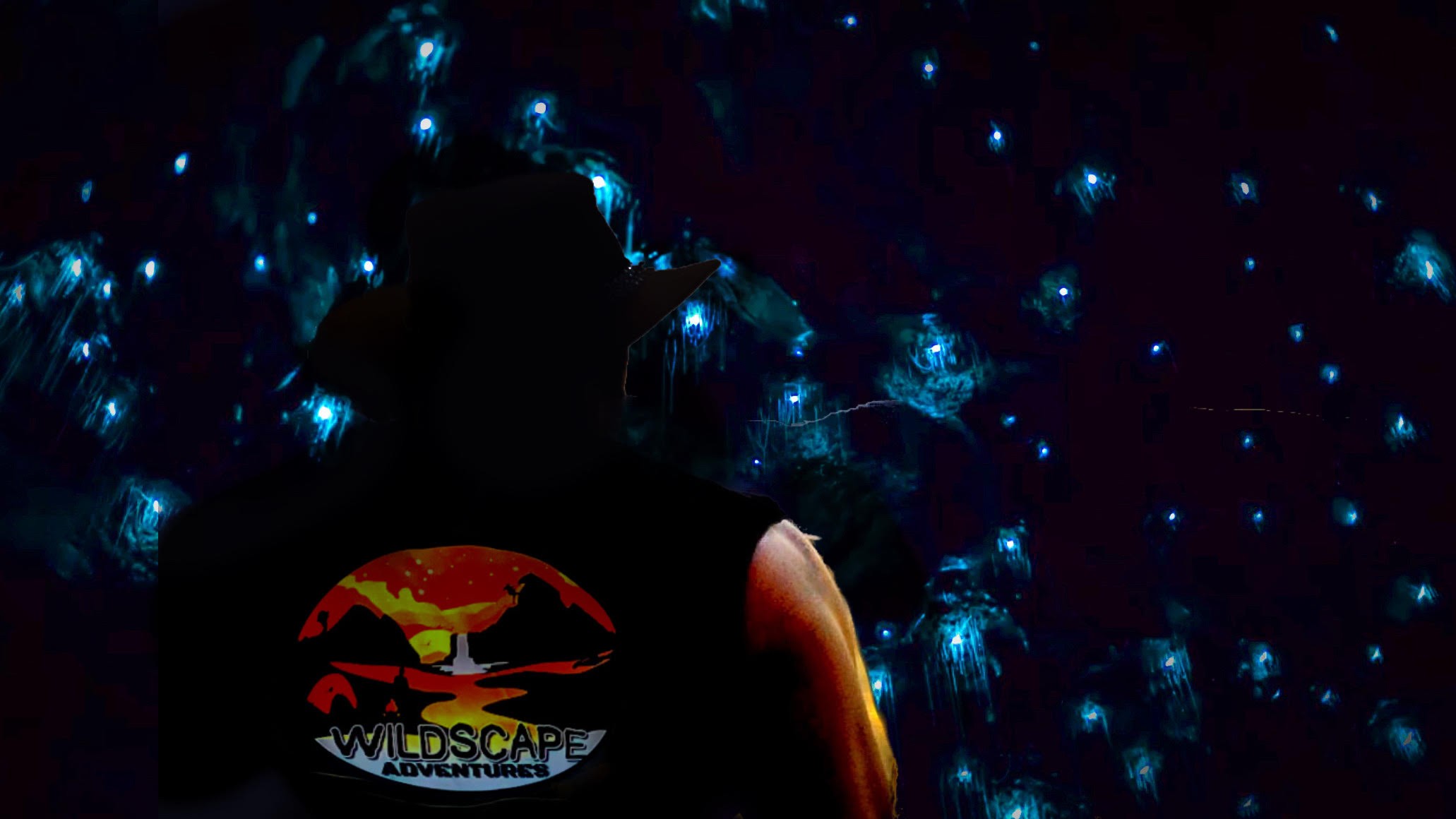 From Sydney: Blue Mountains Glow Worm Night Tour - Small Group