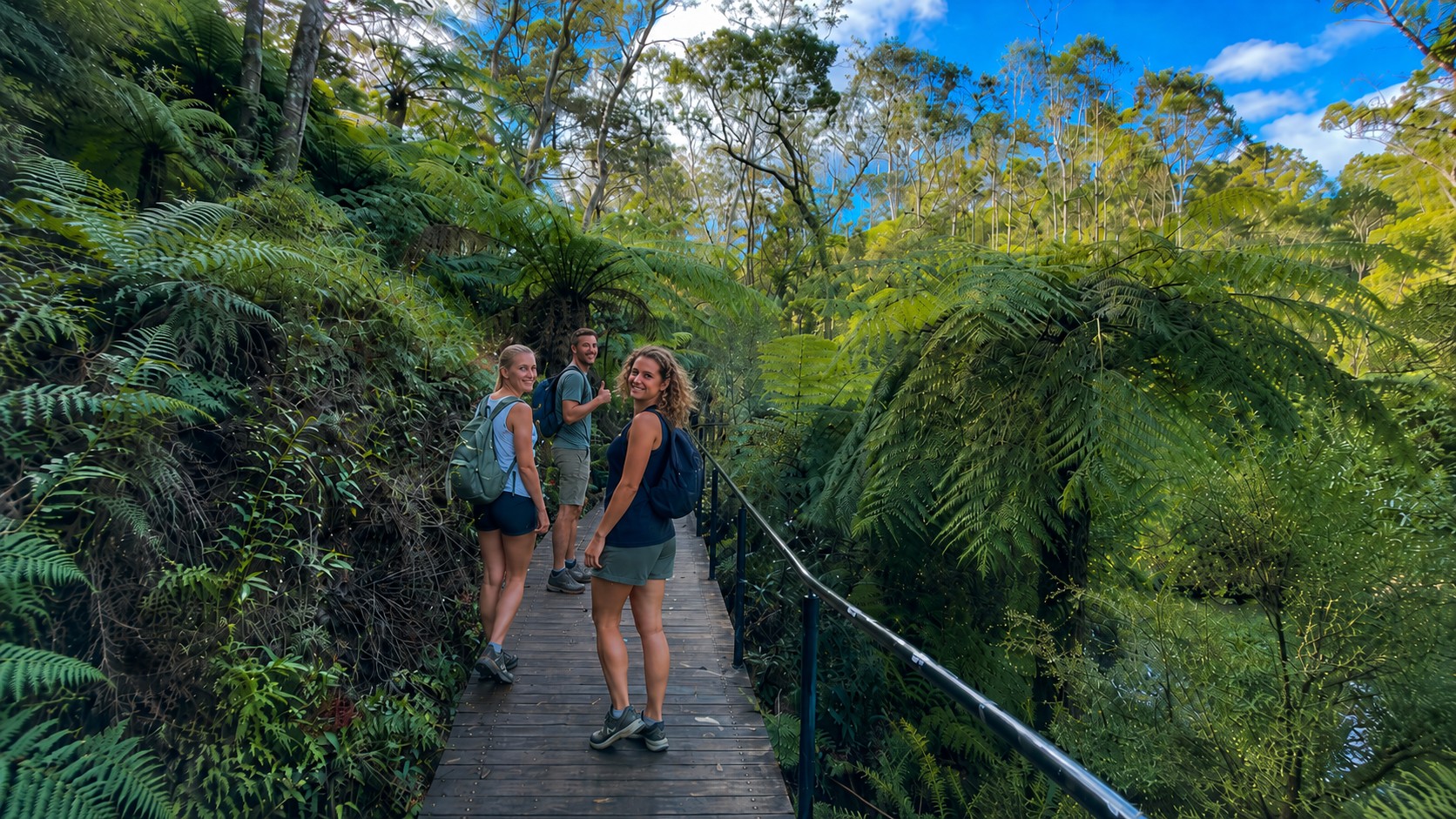 From Sydney: Blue Mountains Scenic Walks Tour