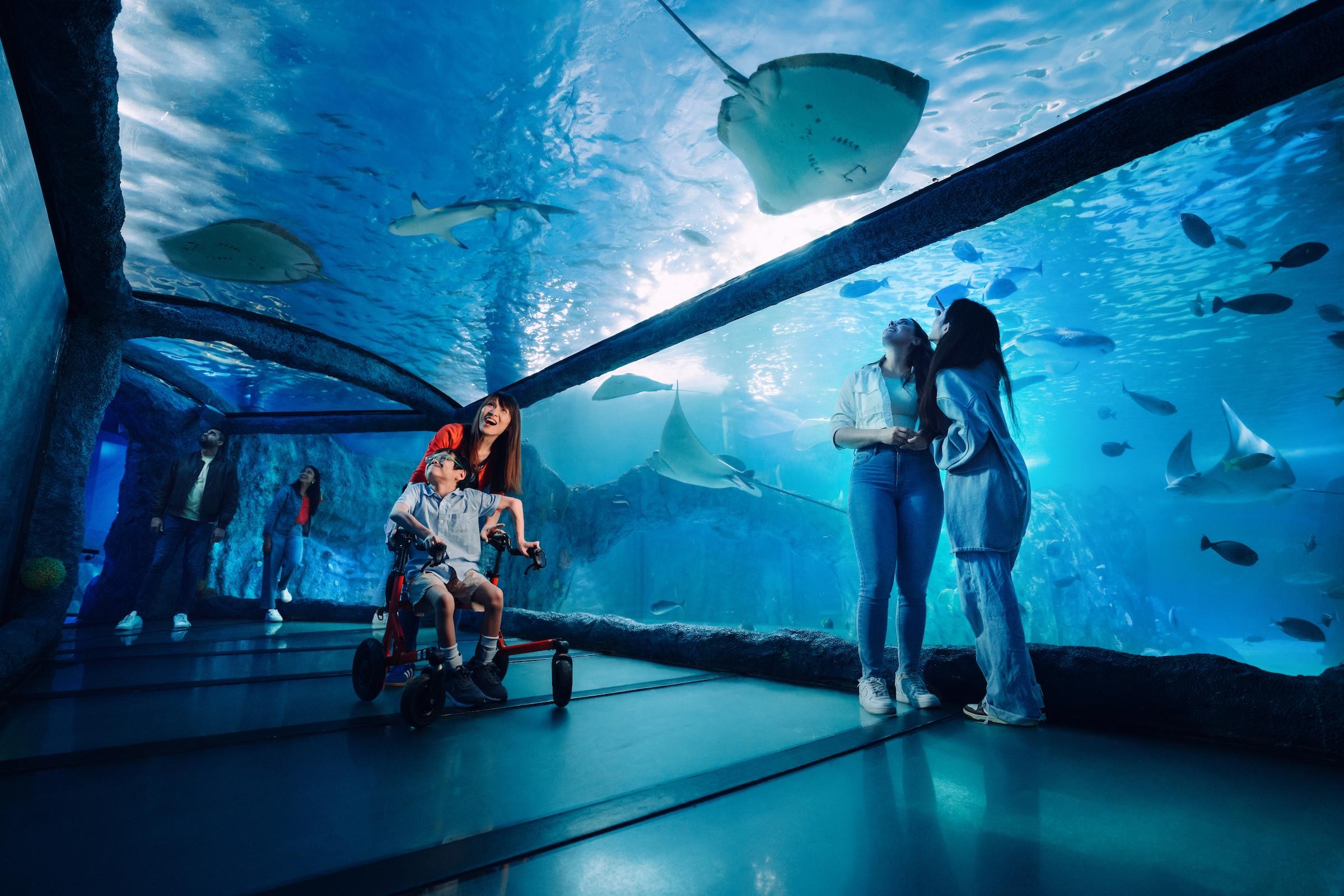 Sydney Top Attractions 2, 3 or 4 Combo Pass