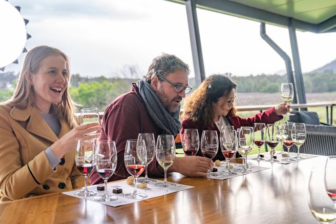 From Sydney: Hunter Valley Wine & Cheese Tour - Small Group