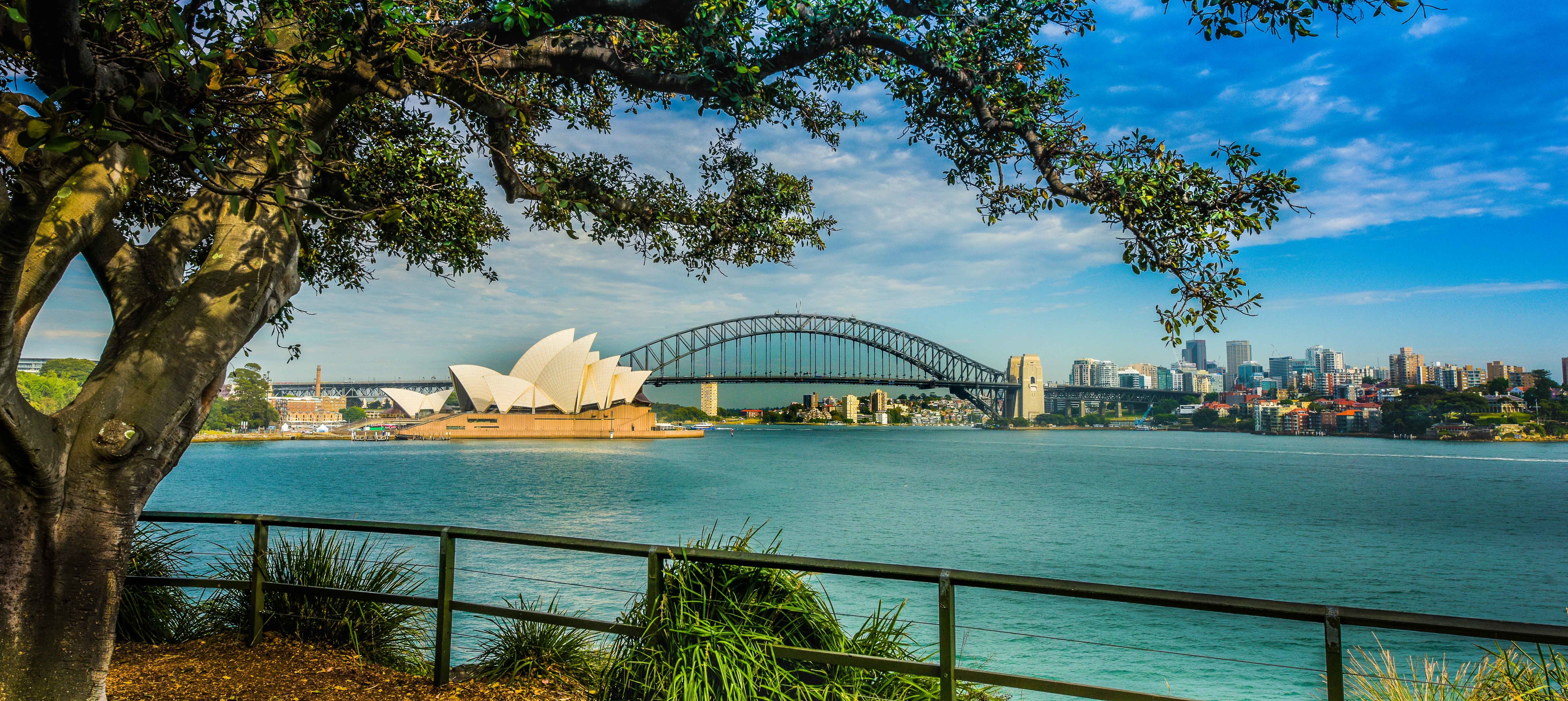 Sydney Harbour to Bondi Beach Half-Day City Tour - Hotel Pickup