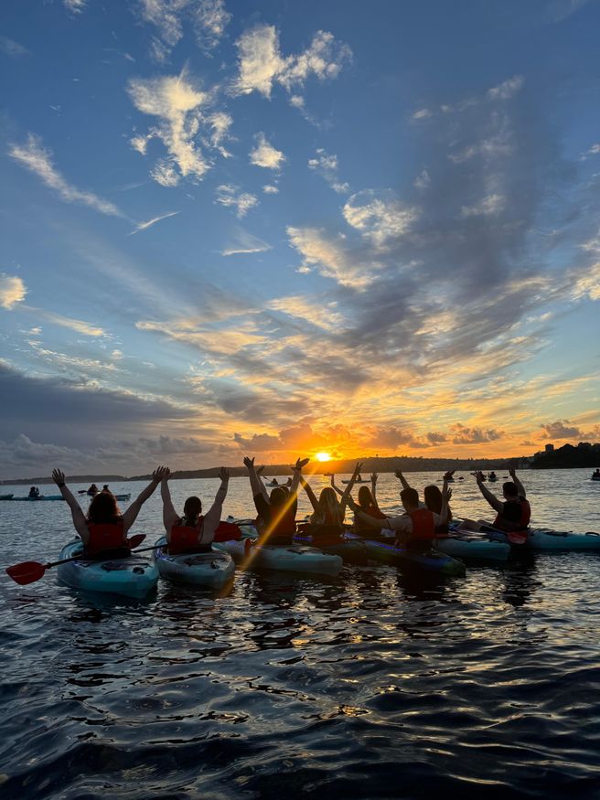 Sydney Harbour Clark Island Sunset Kayak Tour