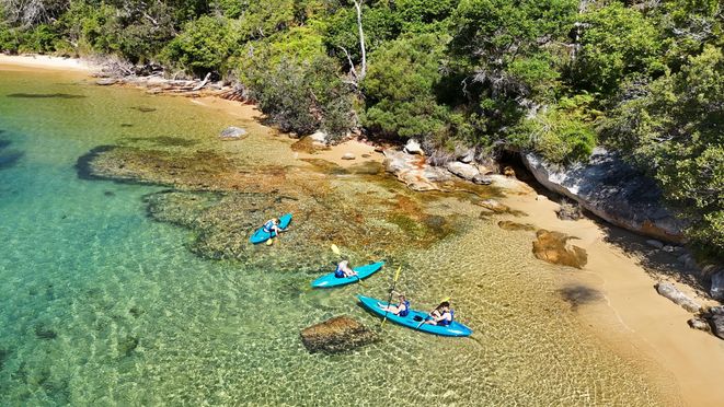 Sydney Manly Store Beach Guided Kayak Tour