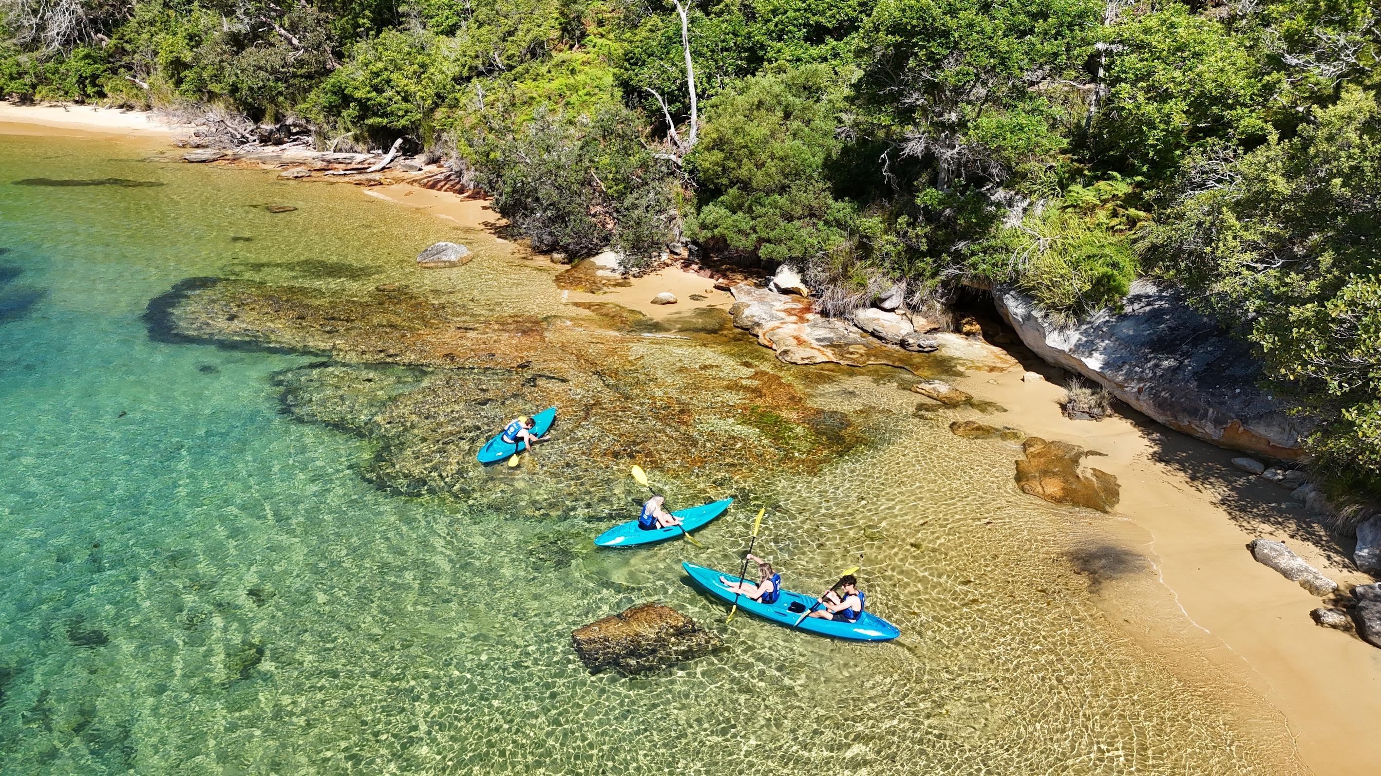 Sydney Manly Store Beach Guided Kayak Tour