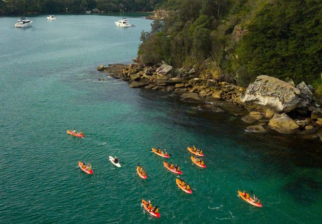 Sydney Manly North Harbour Guided Kayak Tour