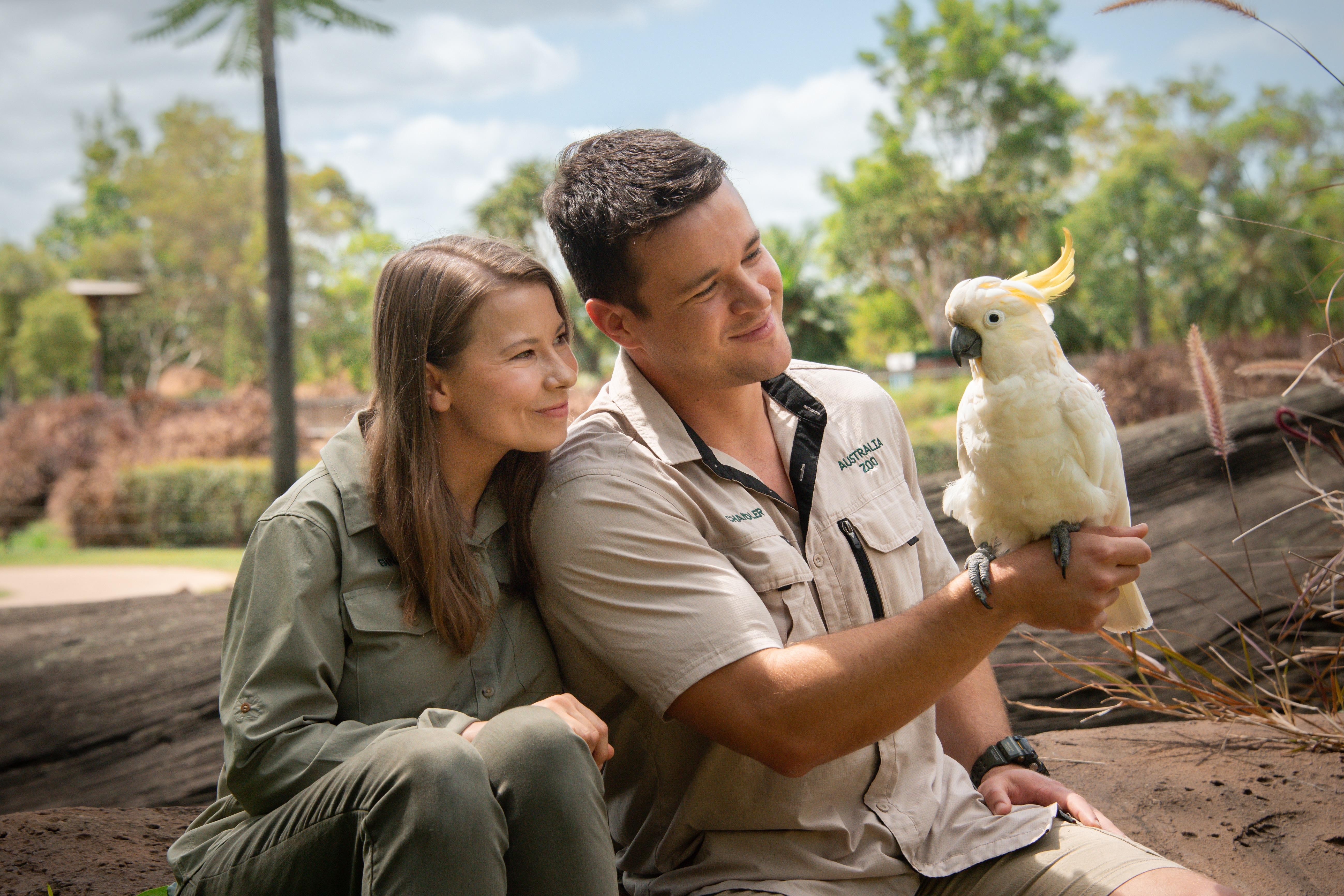 From Sunshine Coast: Australia Zoo Entry Ticket & Return Transfer