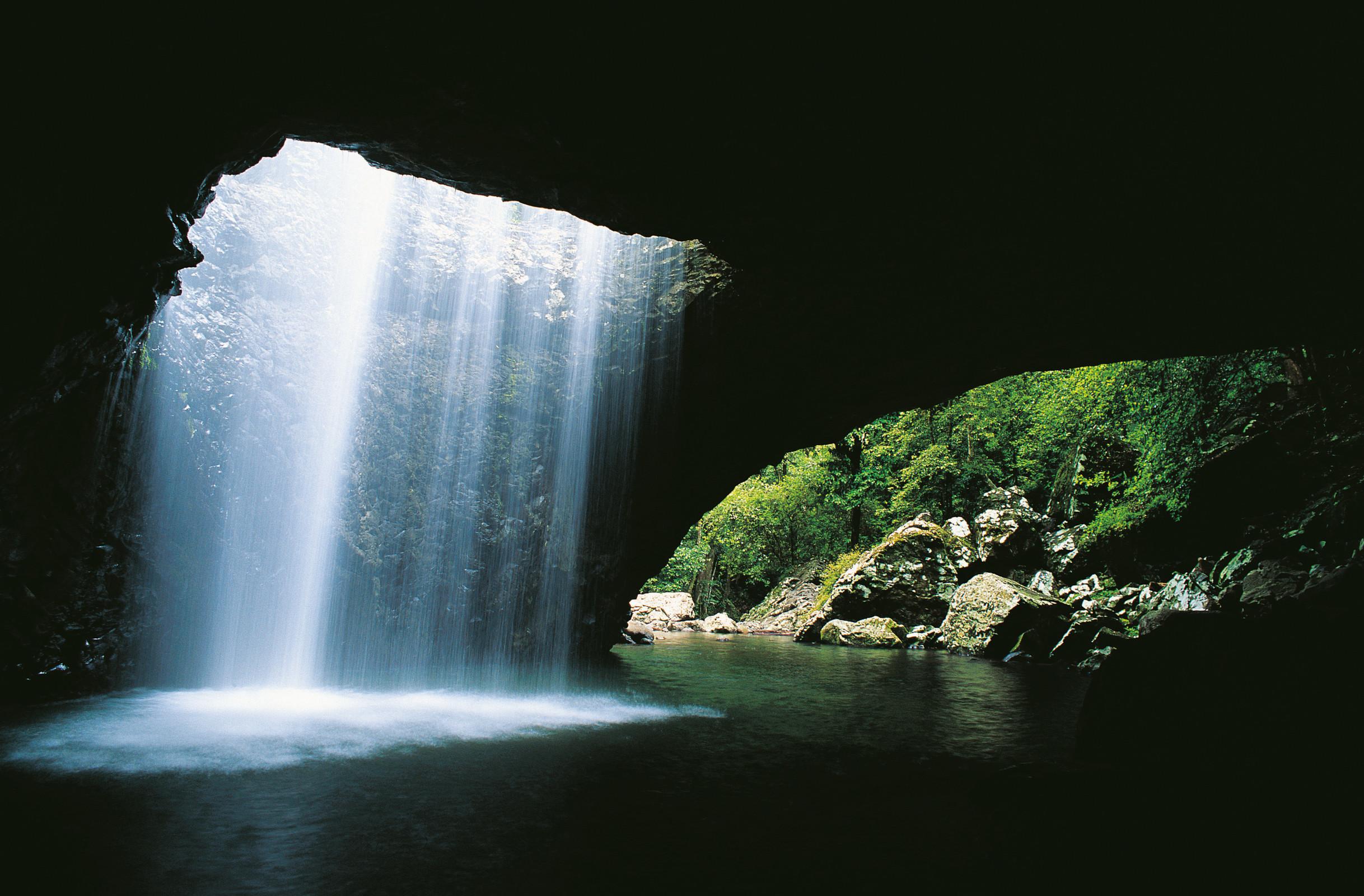 From Gold Coast: Springbrook National Park Natural Bridge & Waterfalls Tour - Small Group