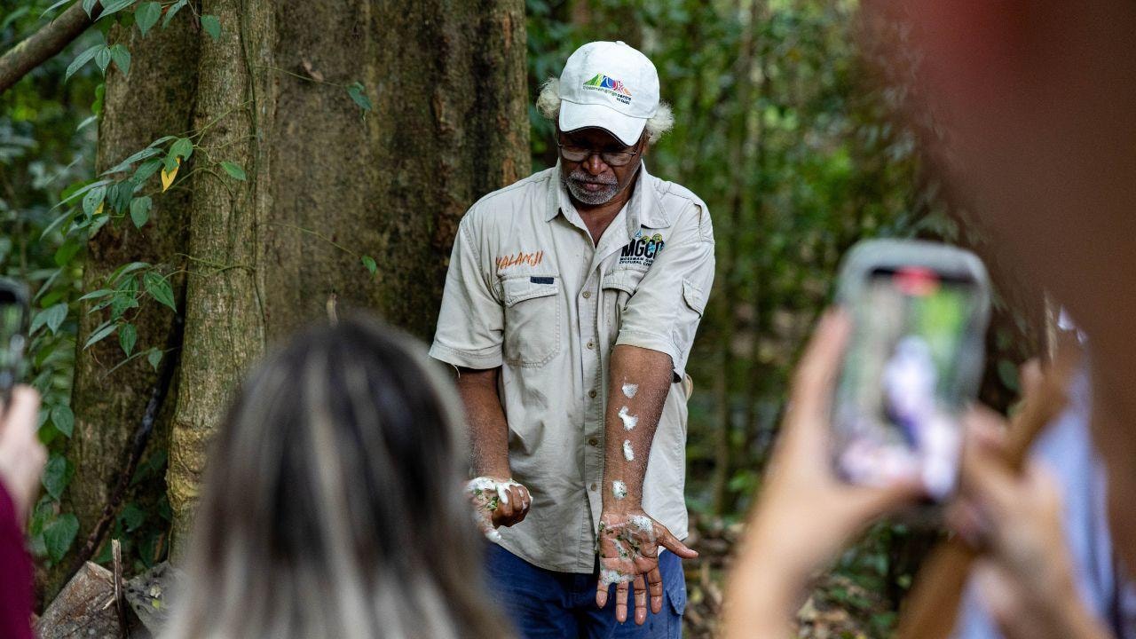 Cairns Daintree Rainforest & Mossman Gorge Tour - Lunch Included