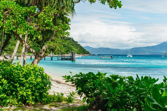 From Cairns: Fitzroy Island Full-Day Self-Guided Trip - Return Ferry Included