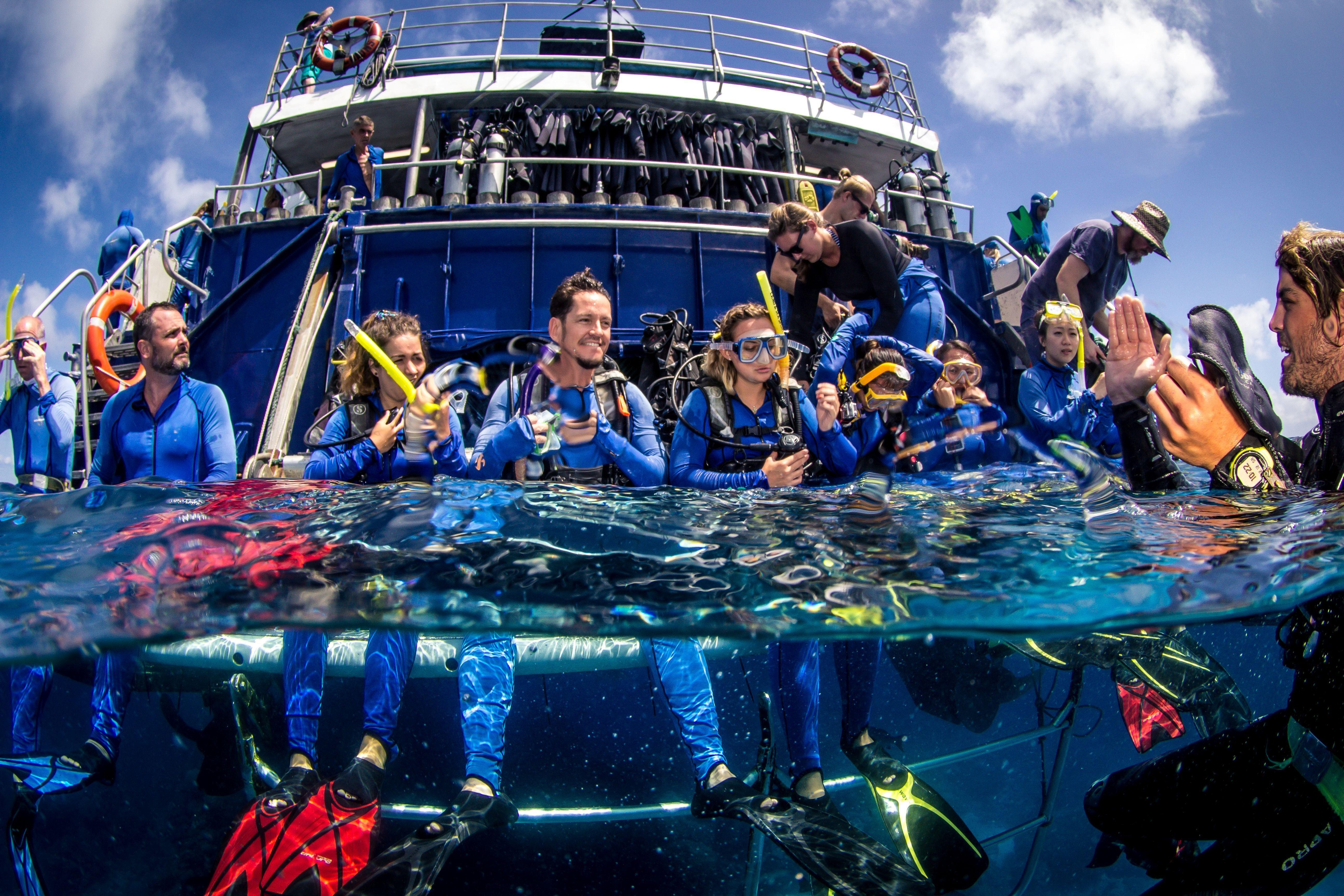 Cairns Reef Experience Outer Reef Cruise with 1 Scuba Dive