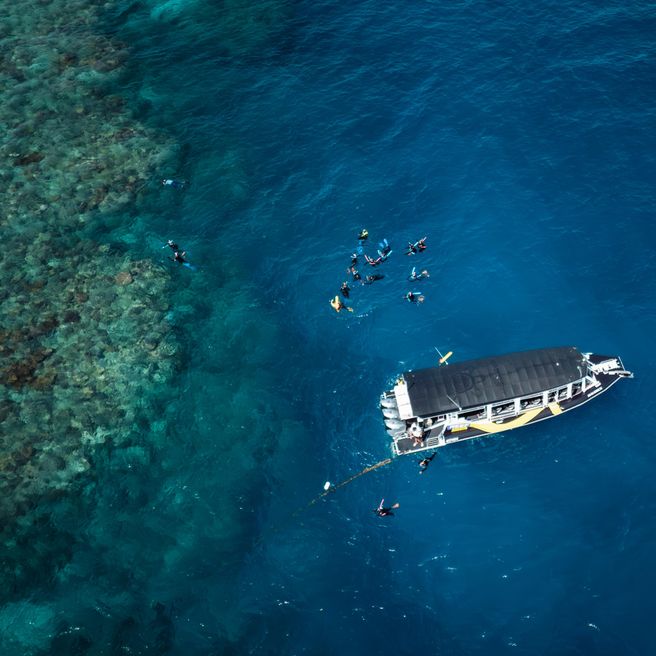 Cairns Great Barrier Reef Half-Day Snorkeling Tour by Fast Boat